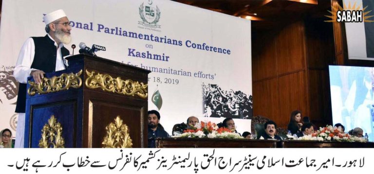 پہلی قومی پارلیمینٹرینزکشمیرکانفرنس میں کشمیرکی آزادی کا روڈ میپ وضع کرنے کامطالبہ