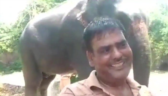 بھارتی شہری نے اپنی جائیداد ہاتھیوں کے نام کر دی