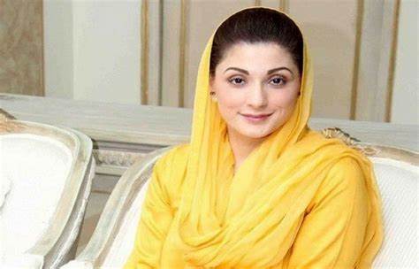 ہمدردوں نے مشورہ دیا کہ آج کی پریس کانفرنس نہ کریں ، شائد آپ کو نا اہل کر دیاجائے ، مریم نواز