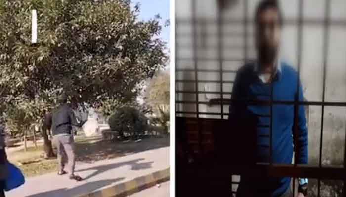 لاہور میں گاڑی سے ٹکرانے پر شہری کا پاپڑ فروش پر تشدد