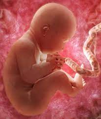 حاملہ ماں کے پیٹ میں پانی کم کیوں ہوجاتا ہے اور اس سے بچے پر کیا اثر پڑتا ہے؟ بچاؤ کا طریقہ بھی جانیں
