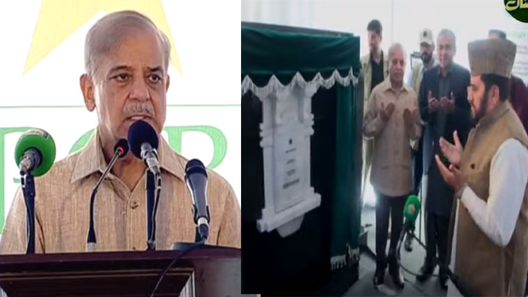 پاکستان کرکٹ ٹیم میں میرٹ کو یقینی بنایا جائے: وزیراعظم شہباز شریف
