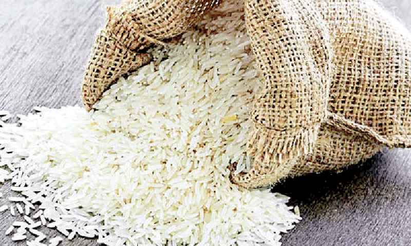 چاول میں آنتوں پر اثر انداز ہونے والے اجزا کی موجودگی کا انکشاف