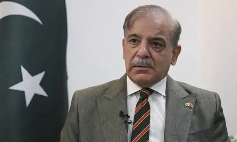 حماس کا ردعمل جنگ بندی کا موقع ہے، اسے ضائع نہیں ہونے دینا چاہیے، پاکستان